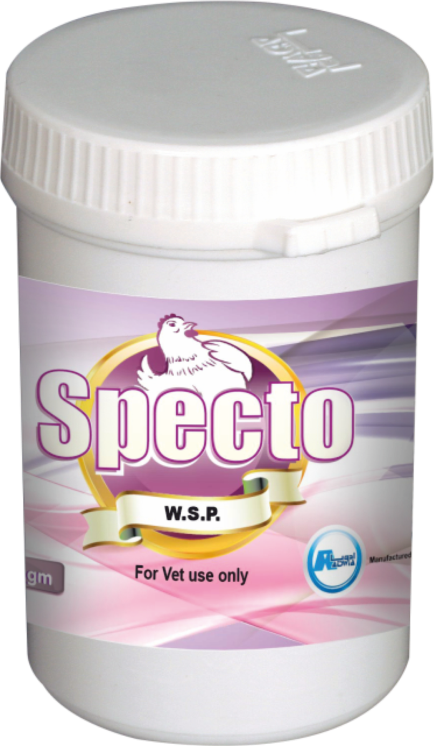 image for Specto